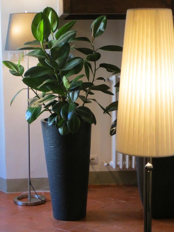 Toscanelli Residenza D'Epoca Firenze Eksteriør bilde